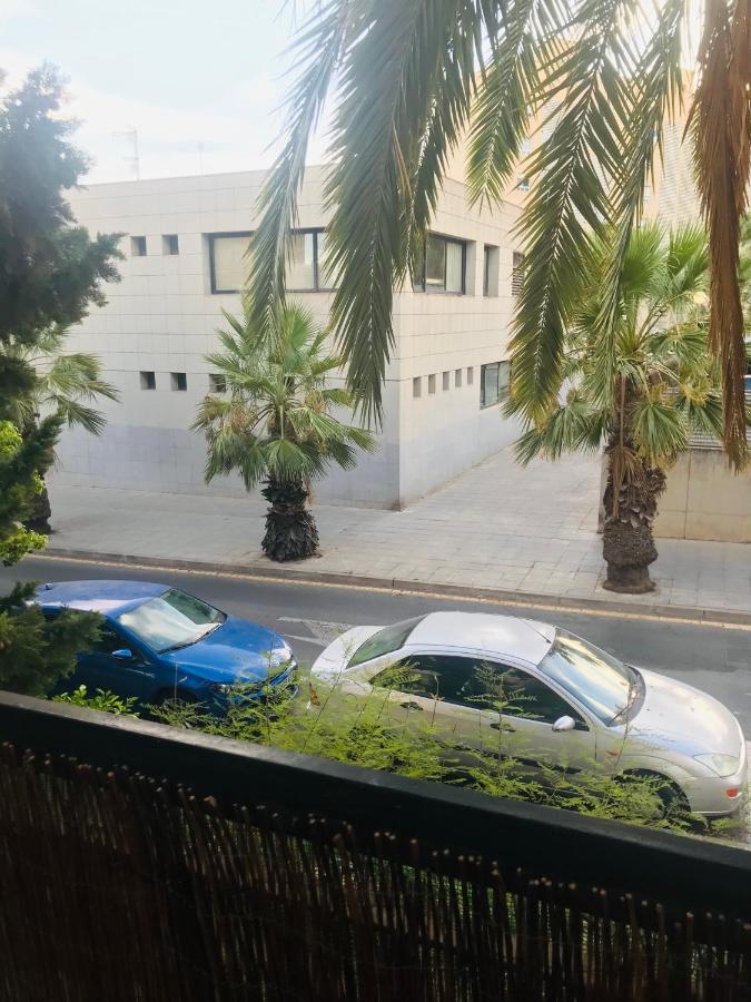 Piso لقنت المظهر الخارجي الصورة