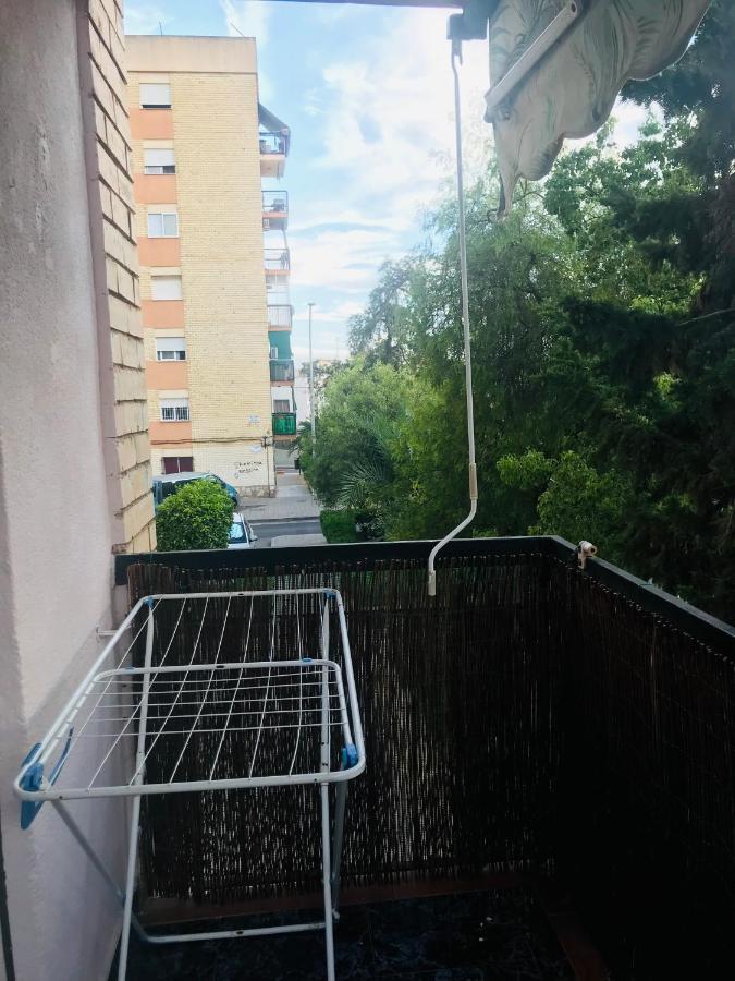 Piso لقنت المظهر الخارجي الصورة